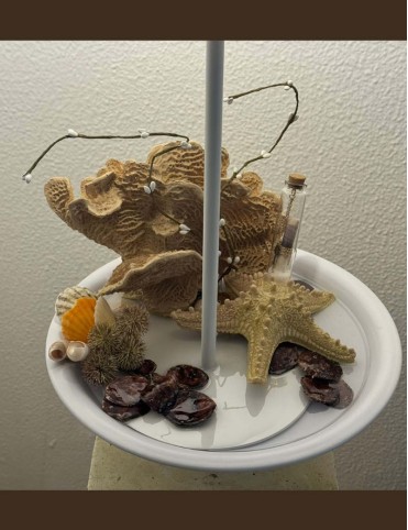 Echoes of the Sea Lamp