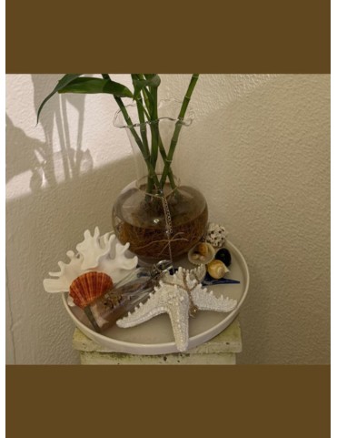 Life is Beautiful Lucky Bamboo Holder
