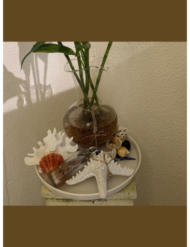 Life is Beautiful Lucky Bamboo Holder