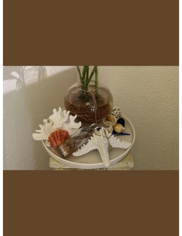 Life is Beautiful Lucky Bamboo Holder