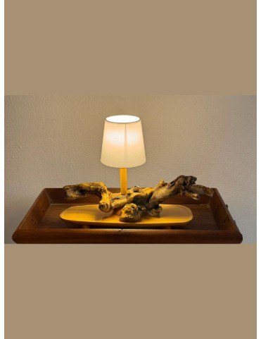 Memoirs of a Driftwood Lamp