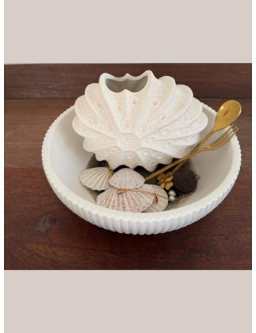 Sea-shells Cutlery Set Holder
