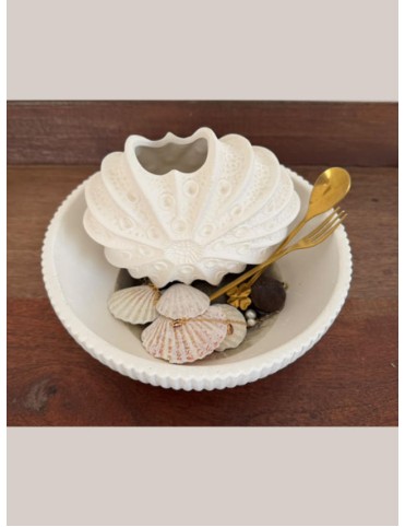 Sea-shells Cutlery Set Holder