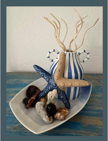 Star-Fish Diffuser