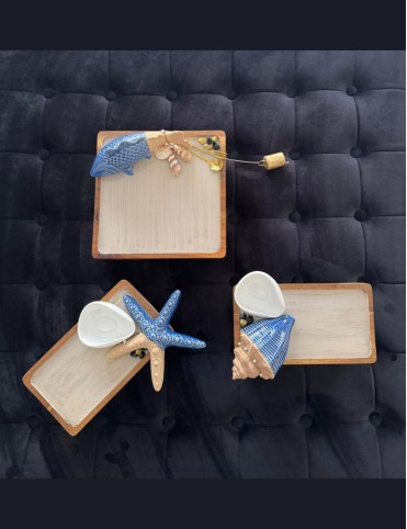 Tri Sushi Trays