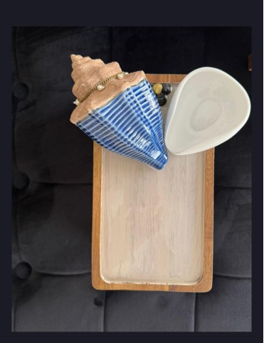 Tri Sushi Trays